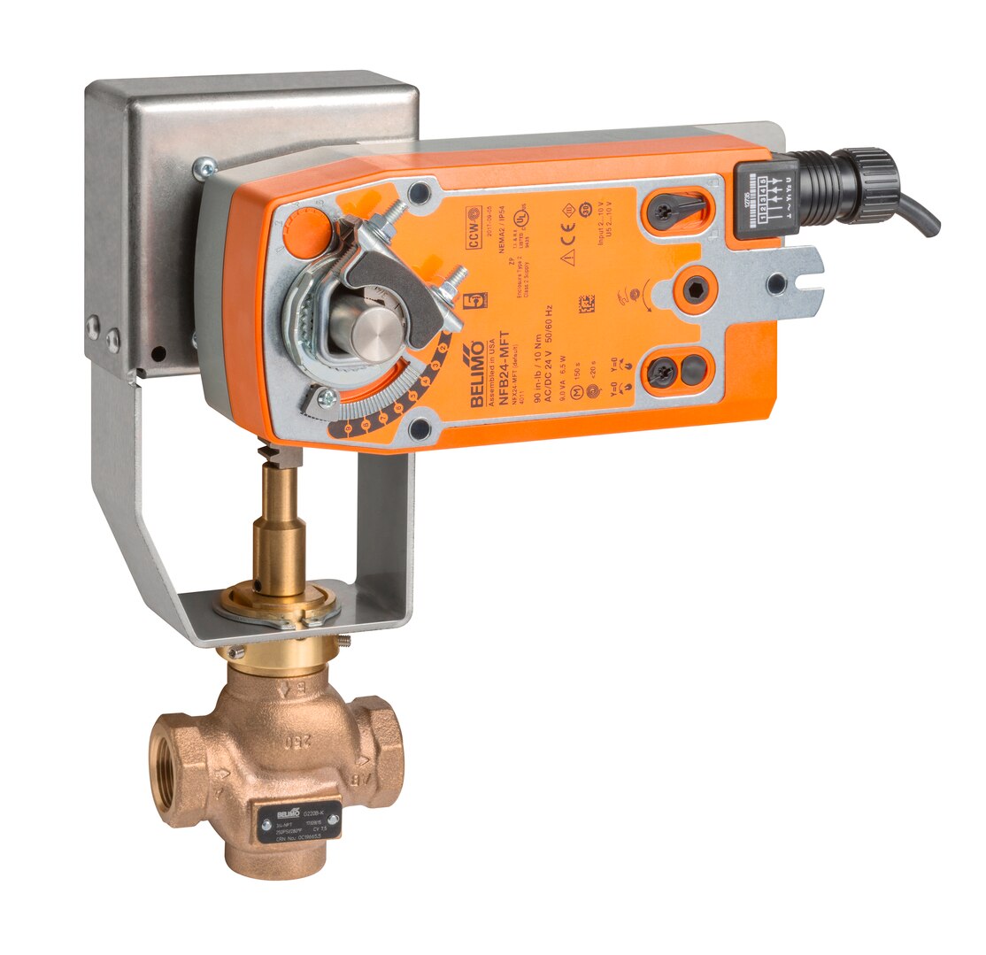 Belimo G250SN+NFB24SRX1 Globe Valves